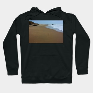 Myspace Dot Earth. Panther Beach, California 2012 Hoodie